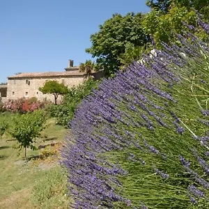 Domaine De Cousignac Bourg-Saint-Andeol